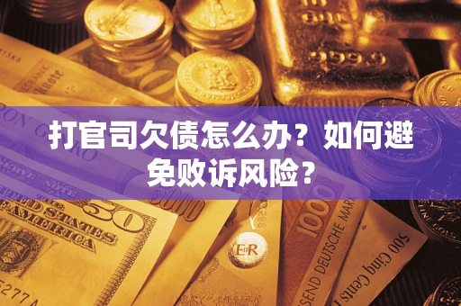 北京打官司欠债怎么办？如何避免败诉风险？